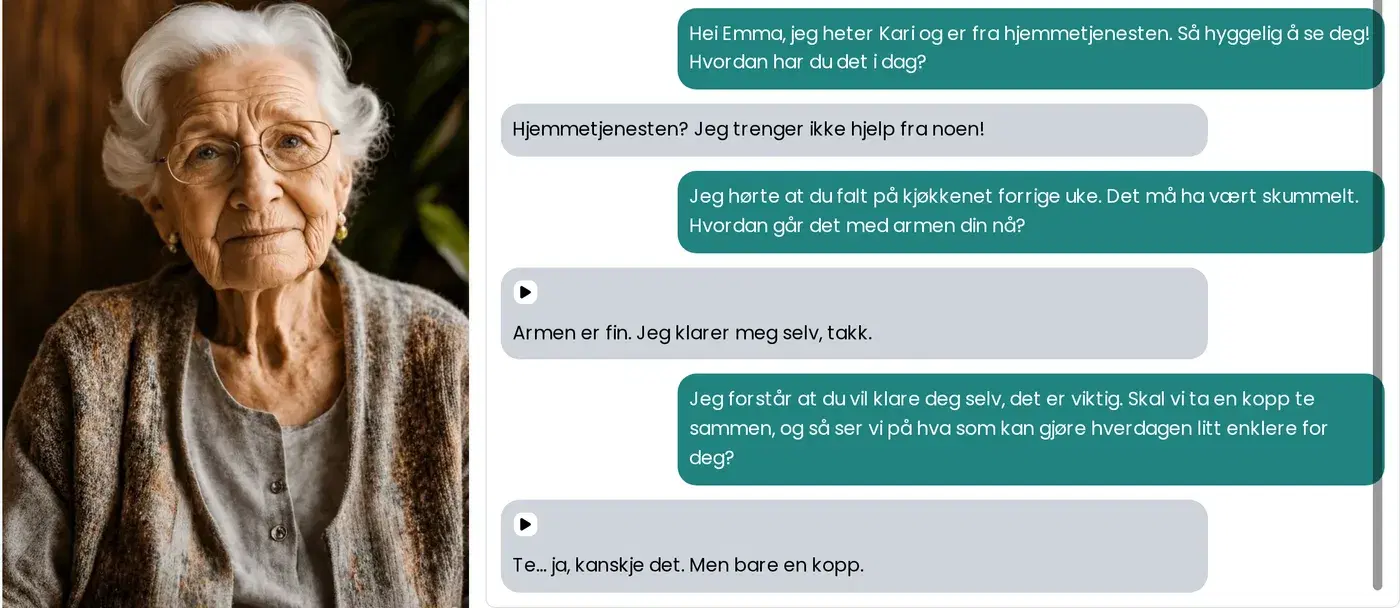 Simulation conversation interface